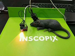 nVista 自由活动神经元超微钙离子成像系统