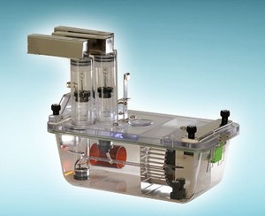 德国TSE 小动物能量代谢生活笼