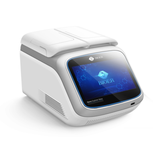 博日基因扩增仪